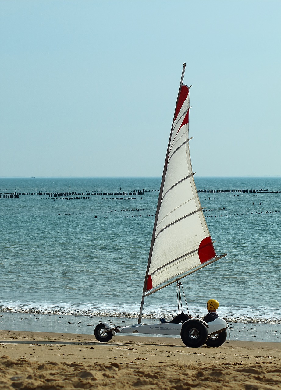 char  sailing  wind free photo