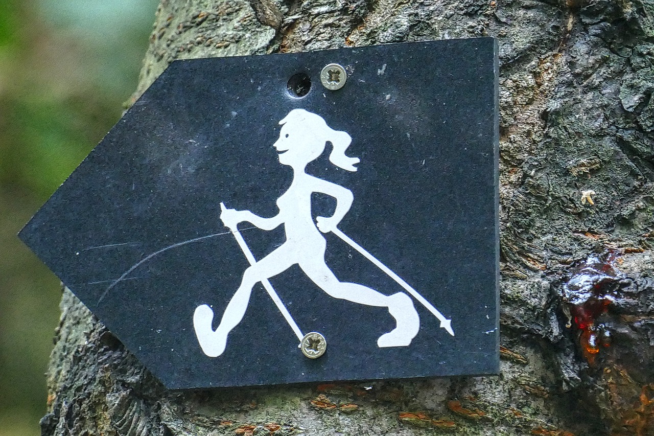 characters symbol hiking free photo