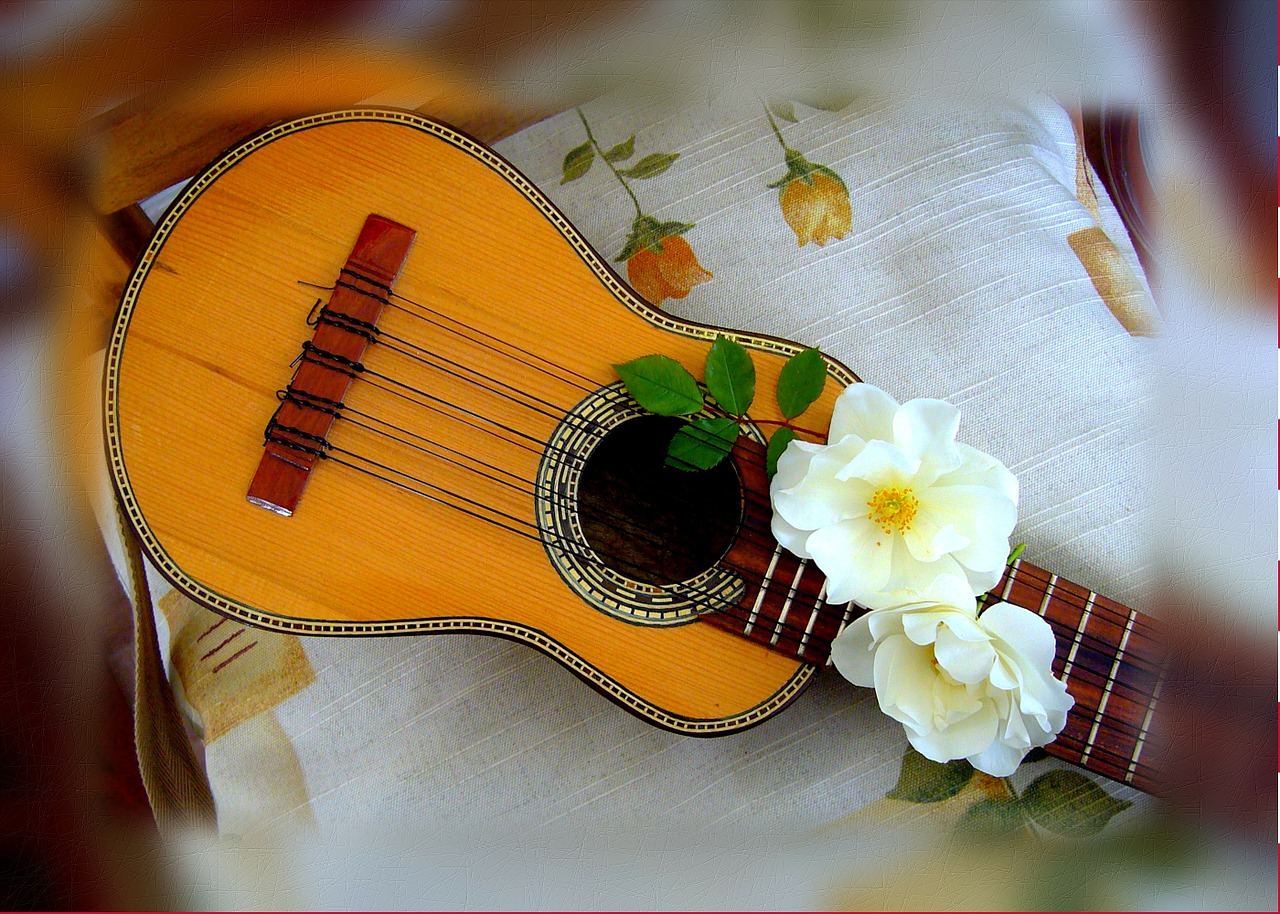 charango andean stringed instrument free photo