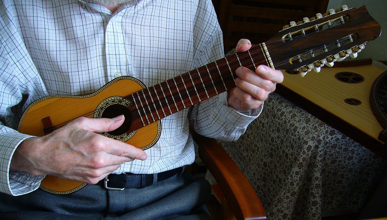 charango andean stringed instrument free photo