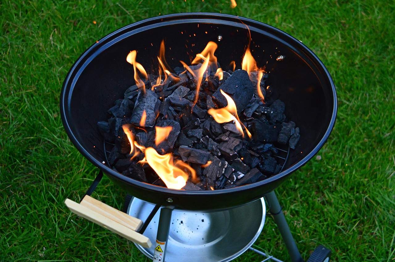 charcoal  garden party  baking free photo