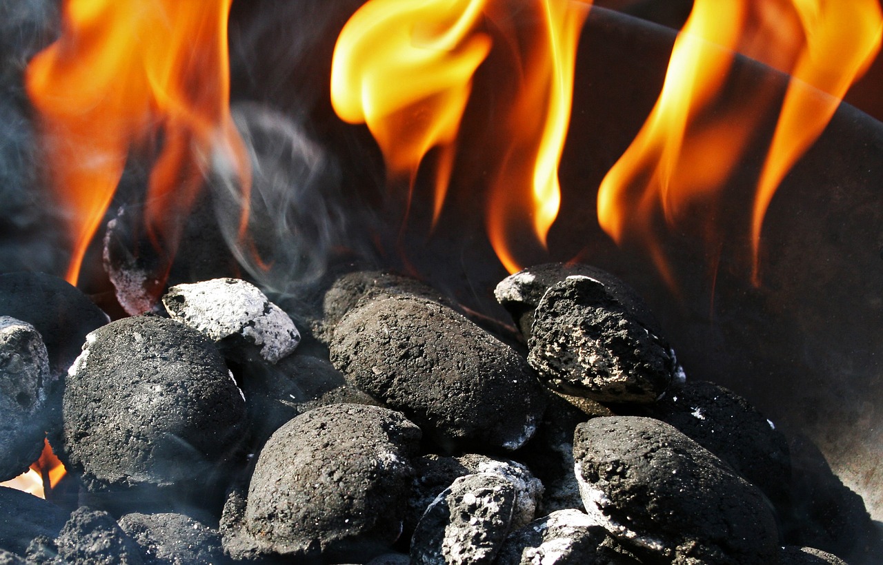 charcoal fire charcoal briquettes free photo