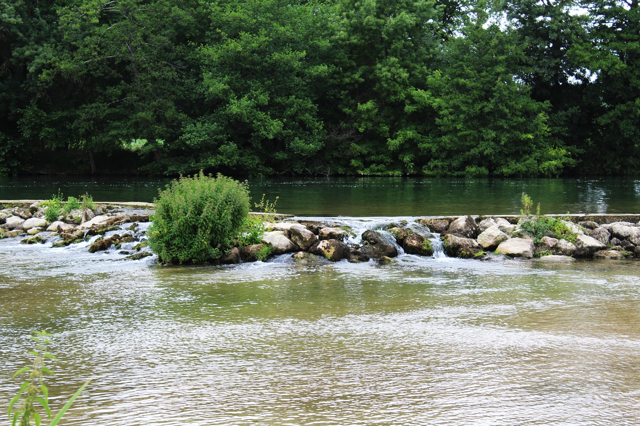 charente river nature free photo