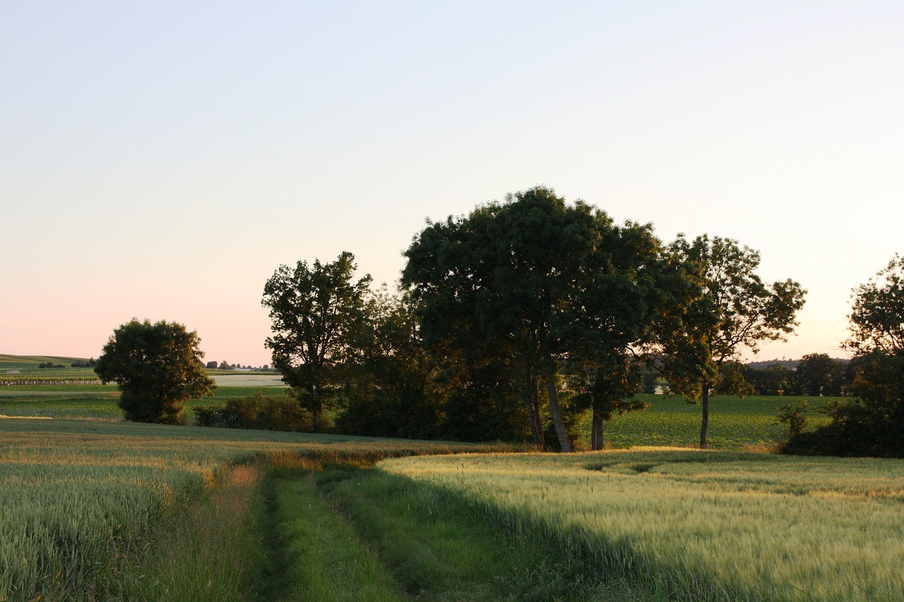 charente vines village free photo