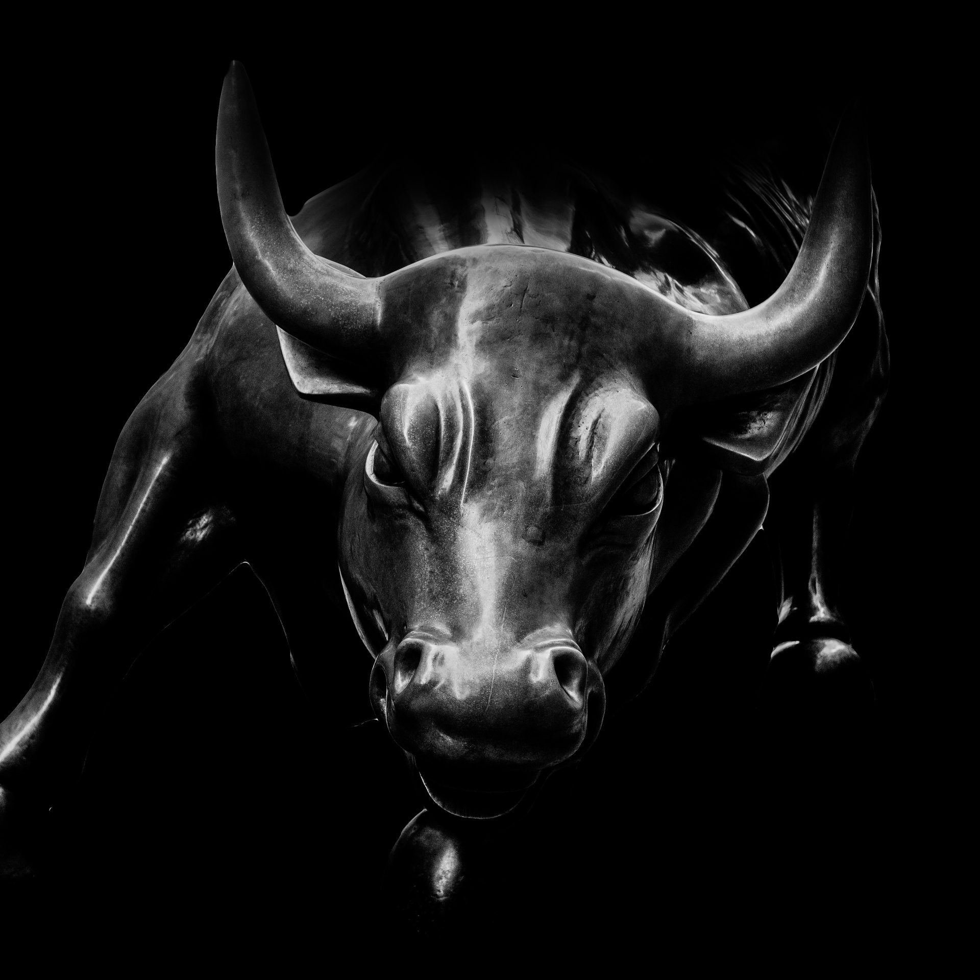 art bronze bull free photo