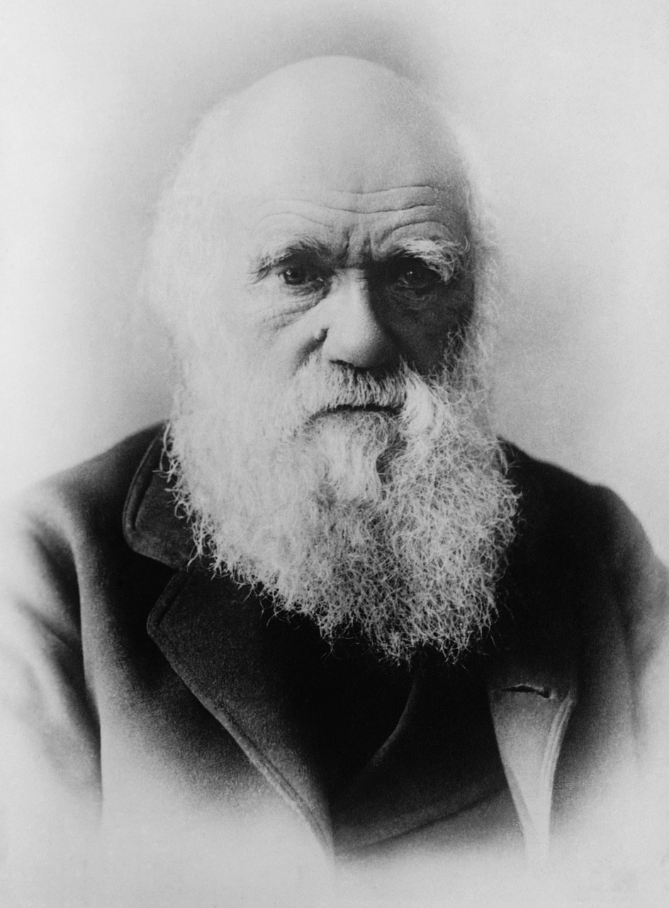 charles darwin scientists theory of evolution free photo