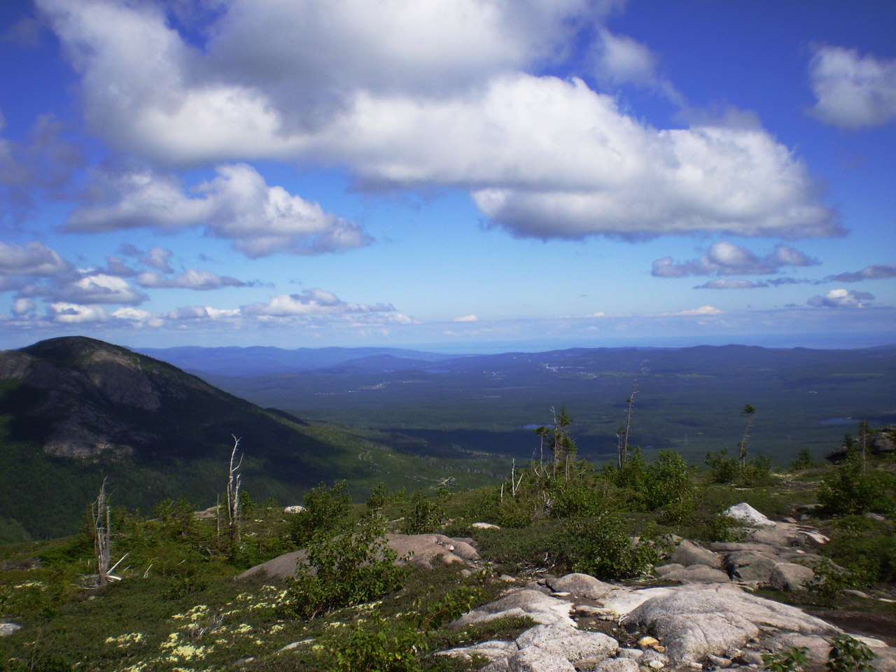 landscape hill wild free photo