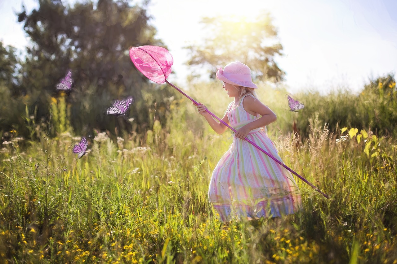 chasing butterflies little girl wildflowers free photo