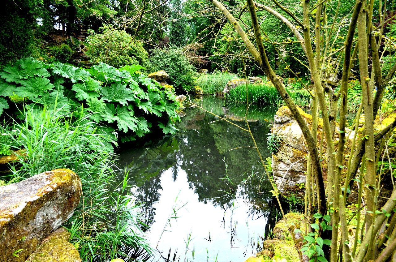 chatsworth gardens plants pond free photo