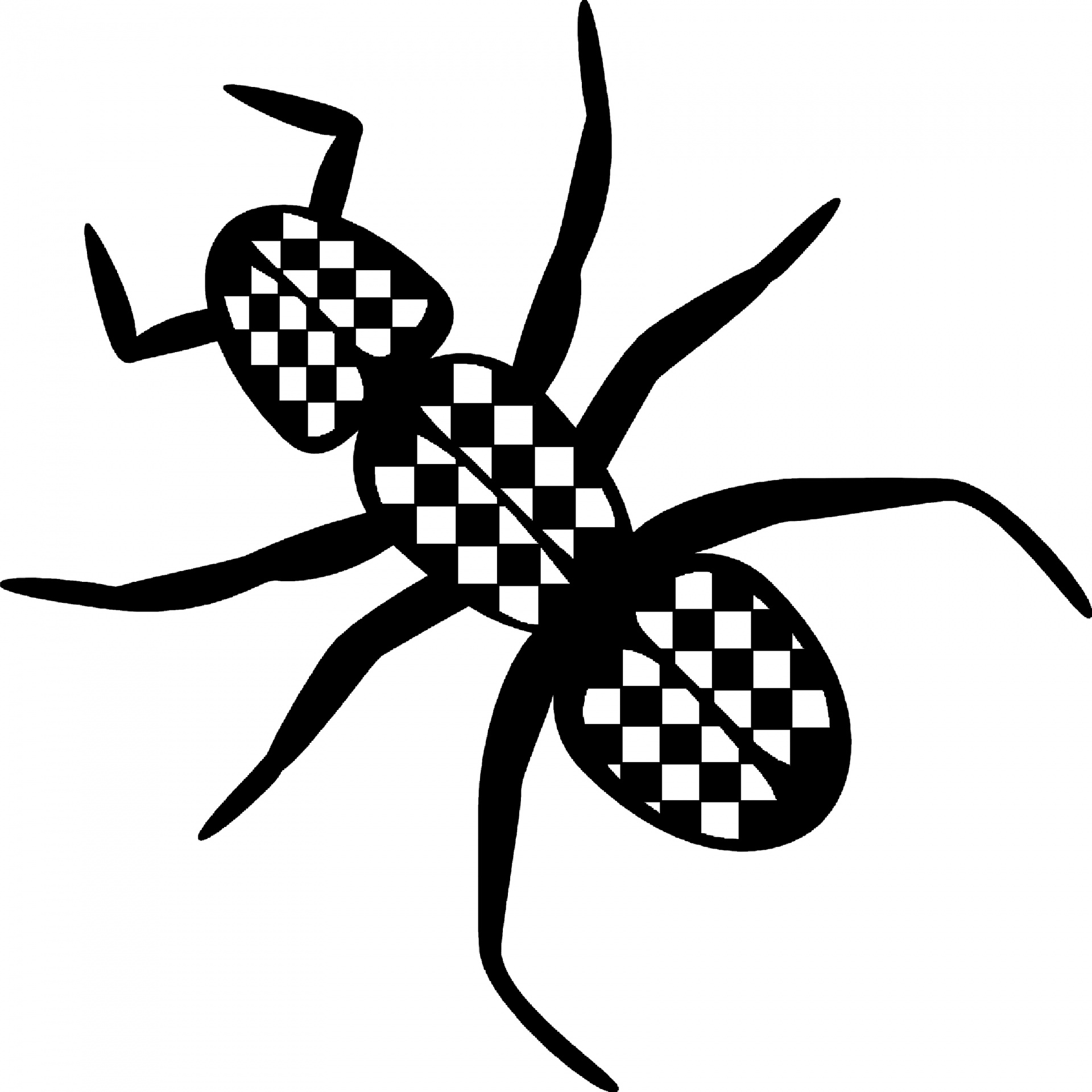 ant checker pattern free photo