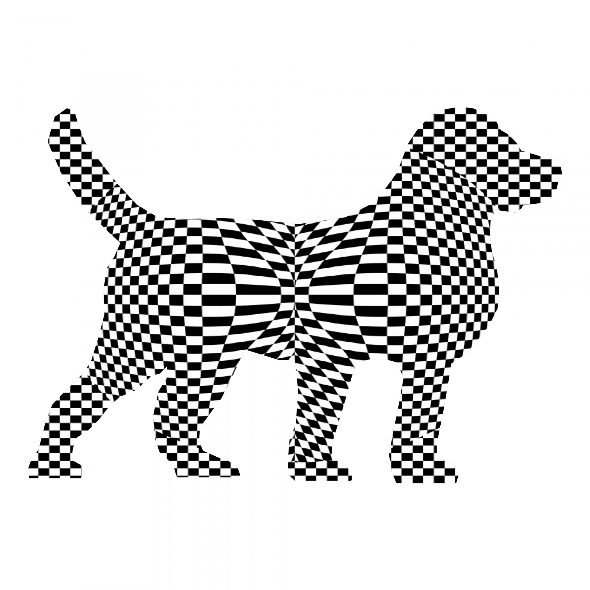 drawing dog checker free photo