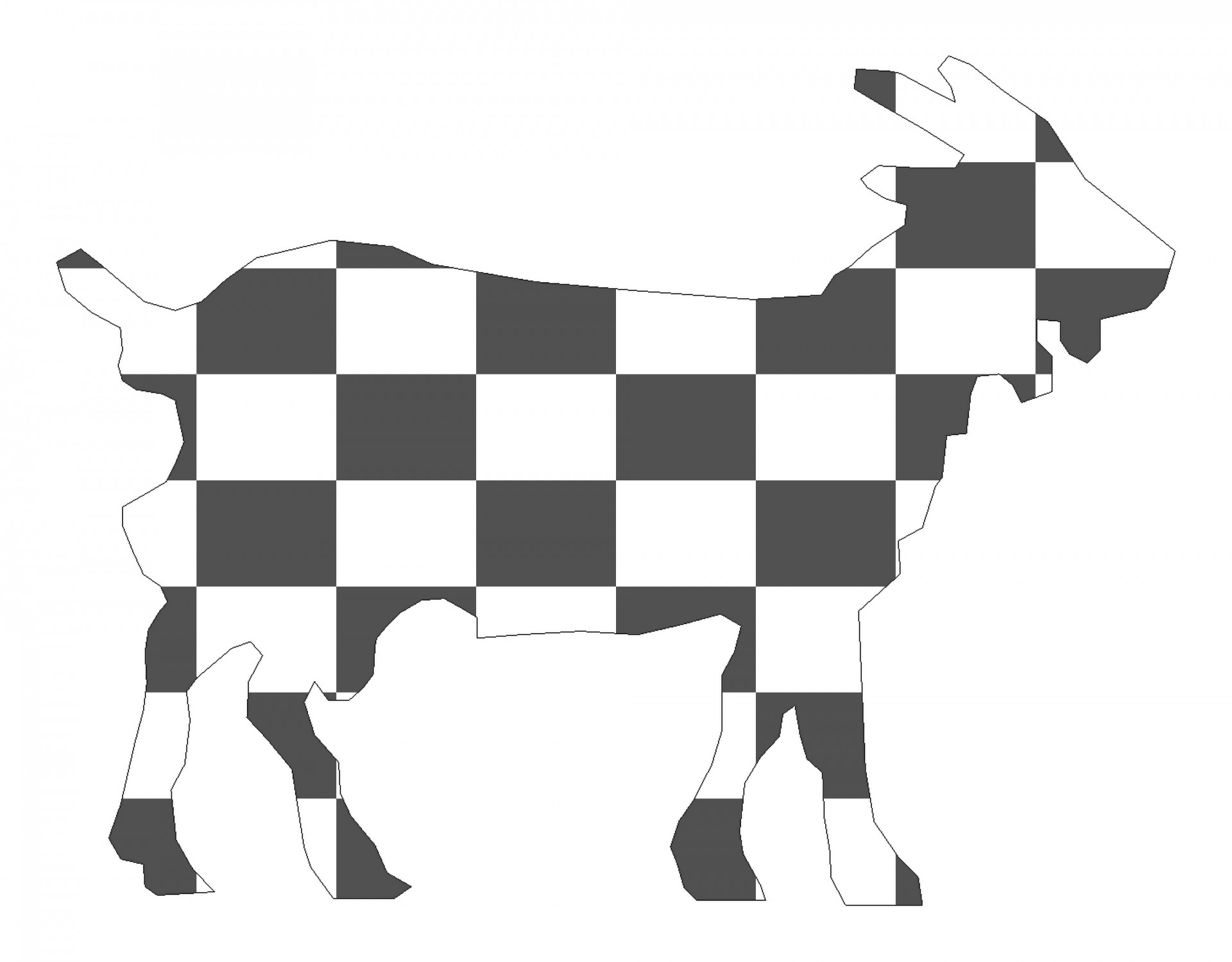 checkerboard goat animal free photo