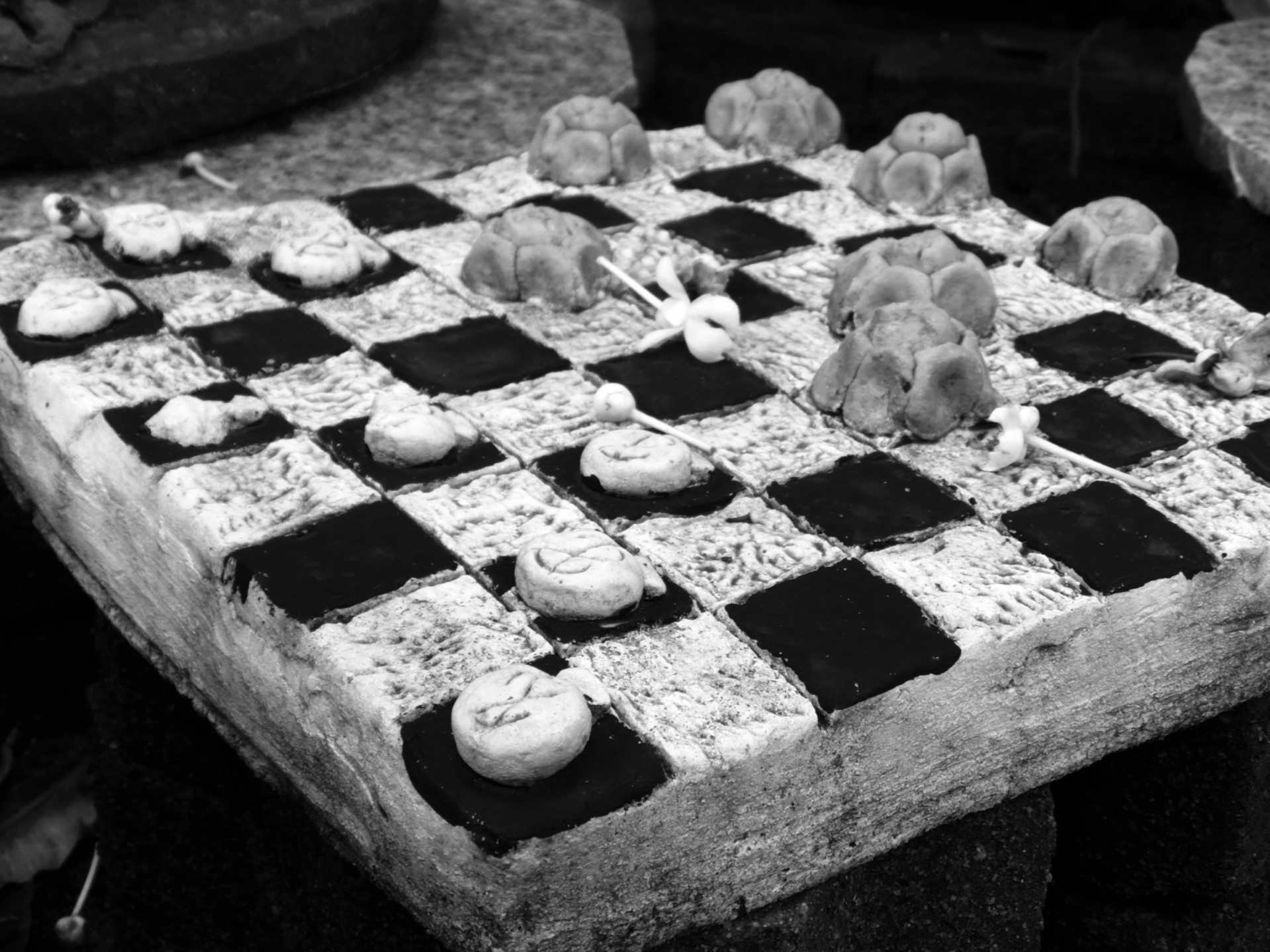 checkers draughts strategy free photo