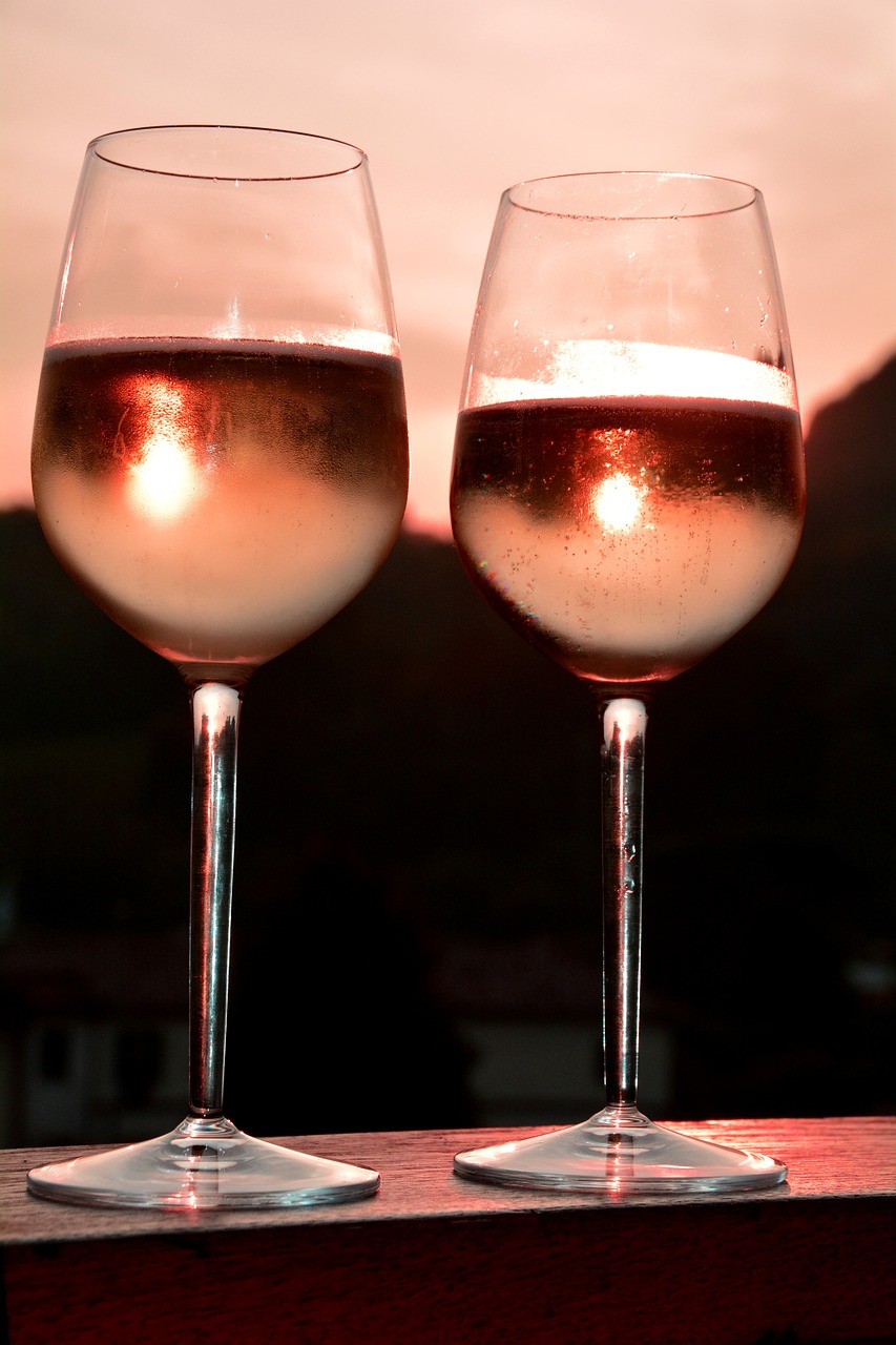 cheers salute wine glasses free photo