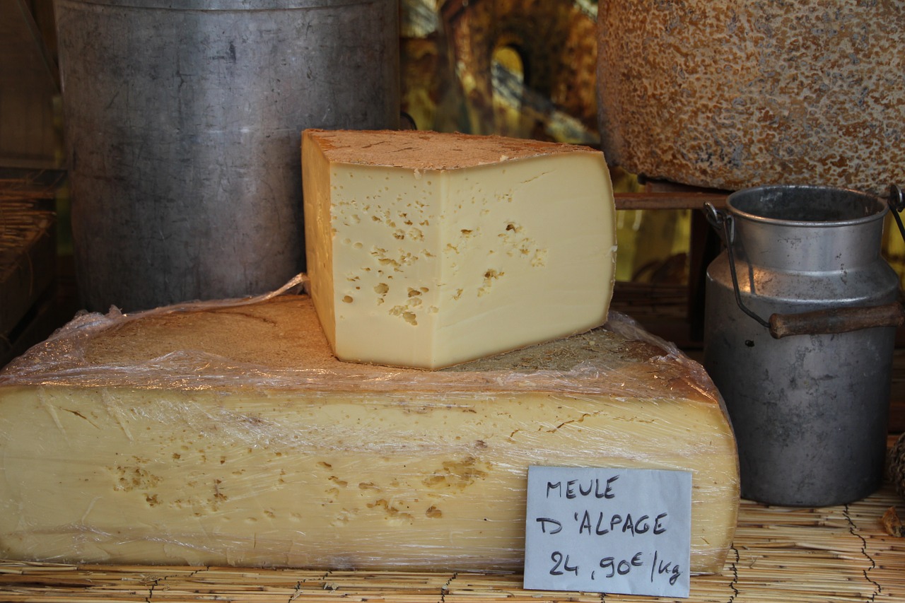 cheese semi-hard cheese gouda free photo