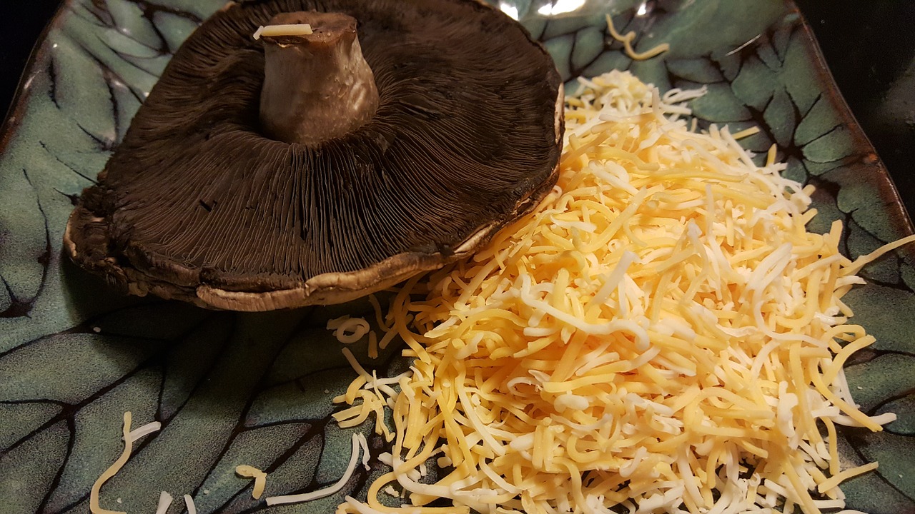 cheese mushroom portobelo free photo