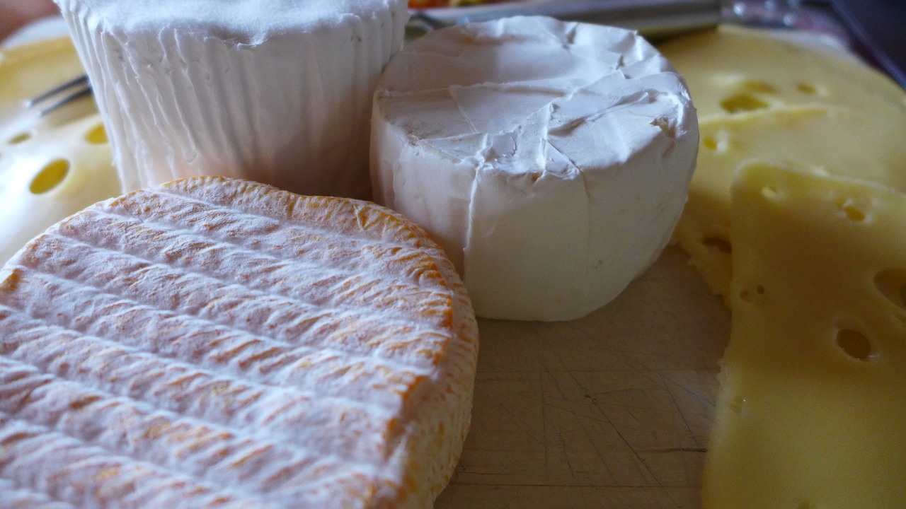 cheese dutch food free photo