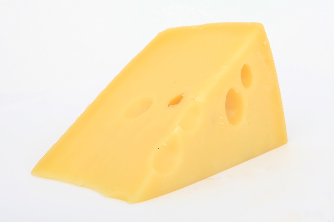 cheese cheesy closeup free photo