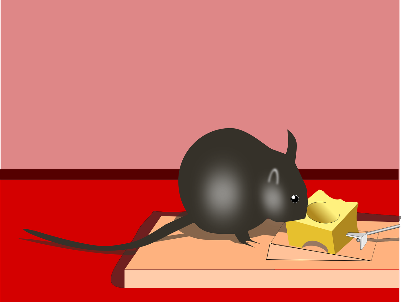 cheese mouse trap free photo