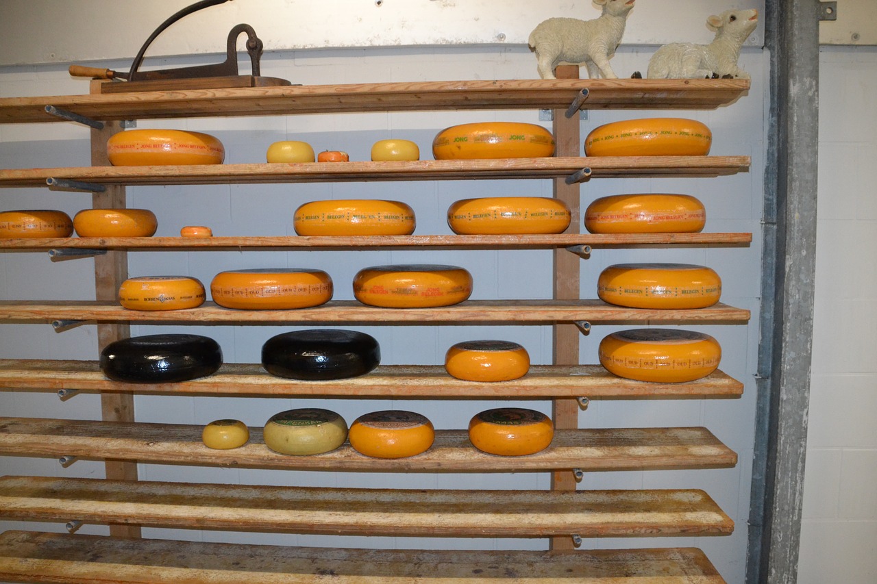 cheese shelf mature free photo