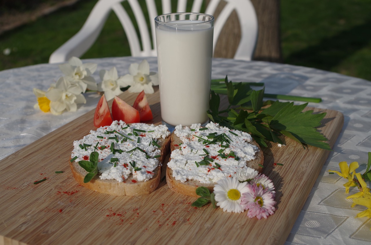 cheese breads bryndza free photo