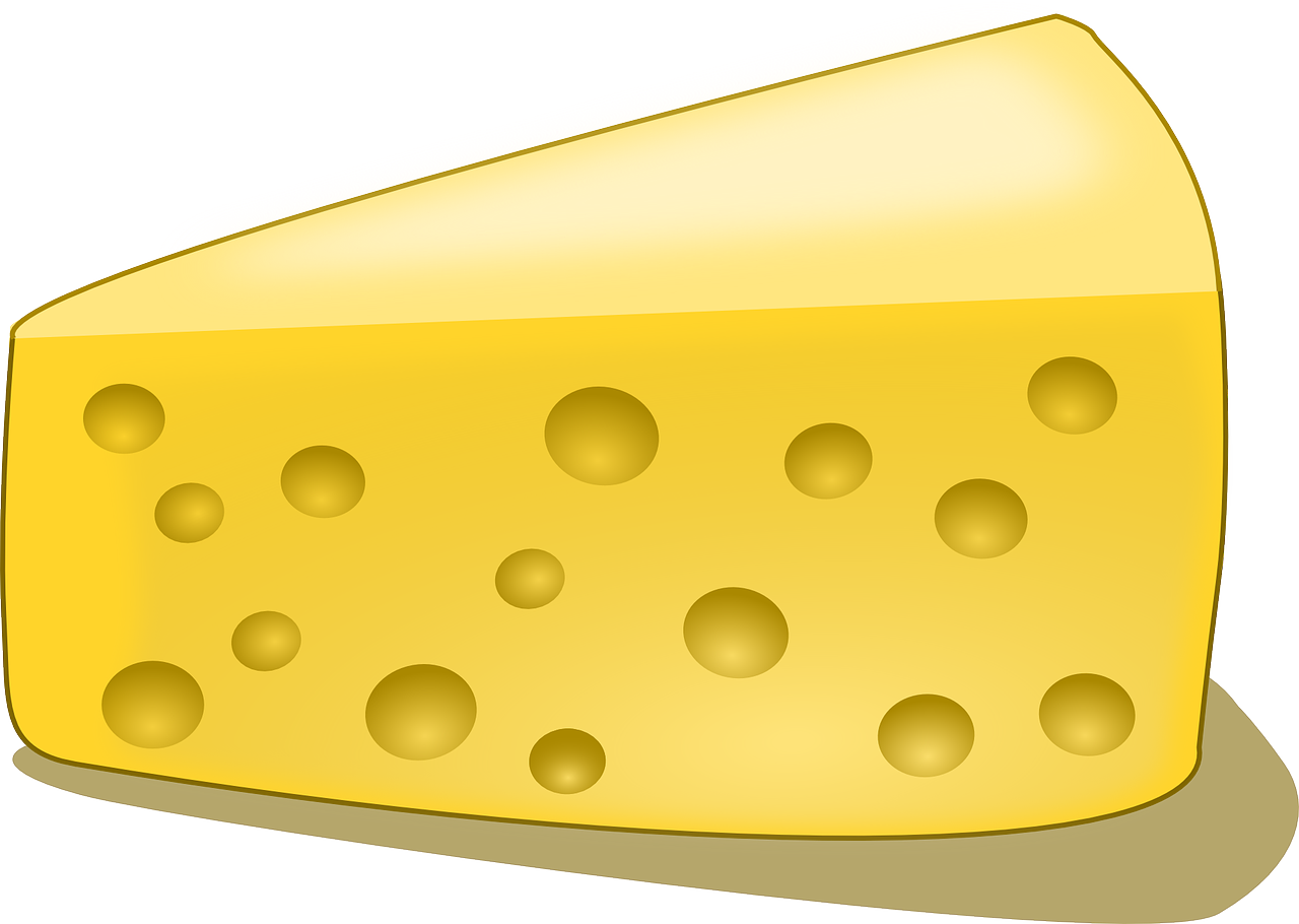 cheese edam cheese slice free photo