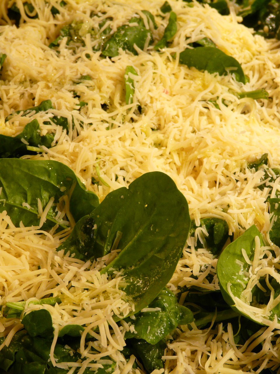cheese spinach topping free photo