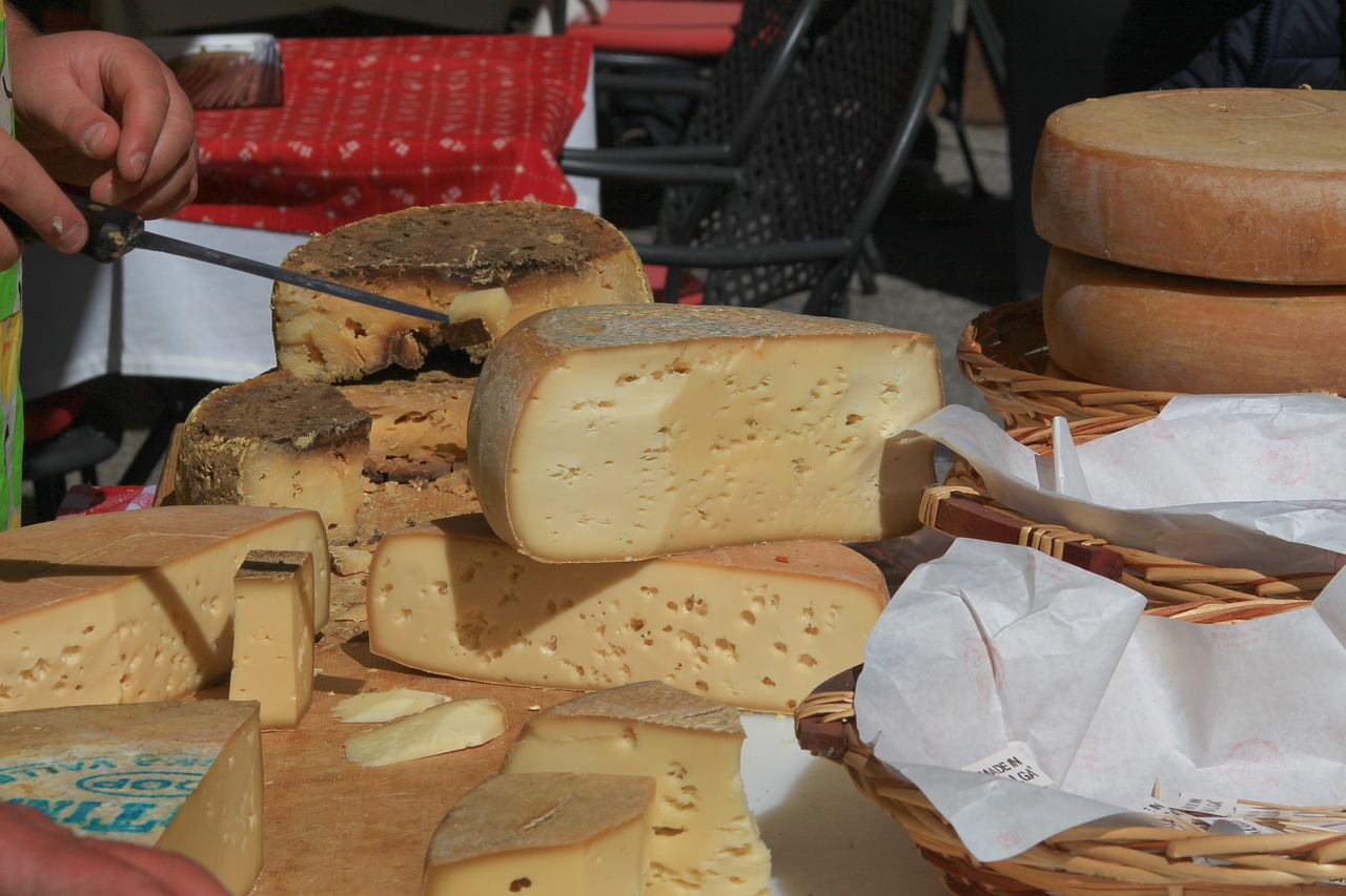cheese made in malga asiago free photo