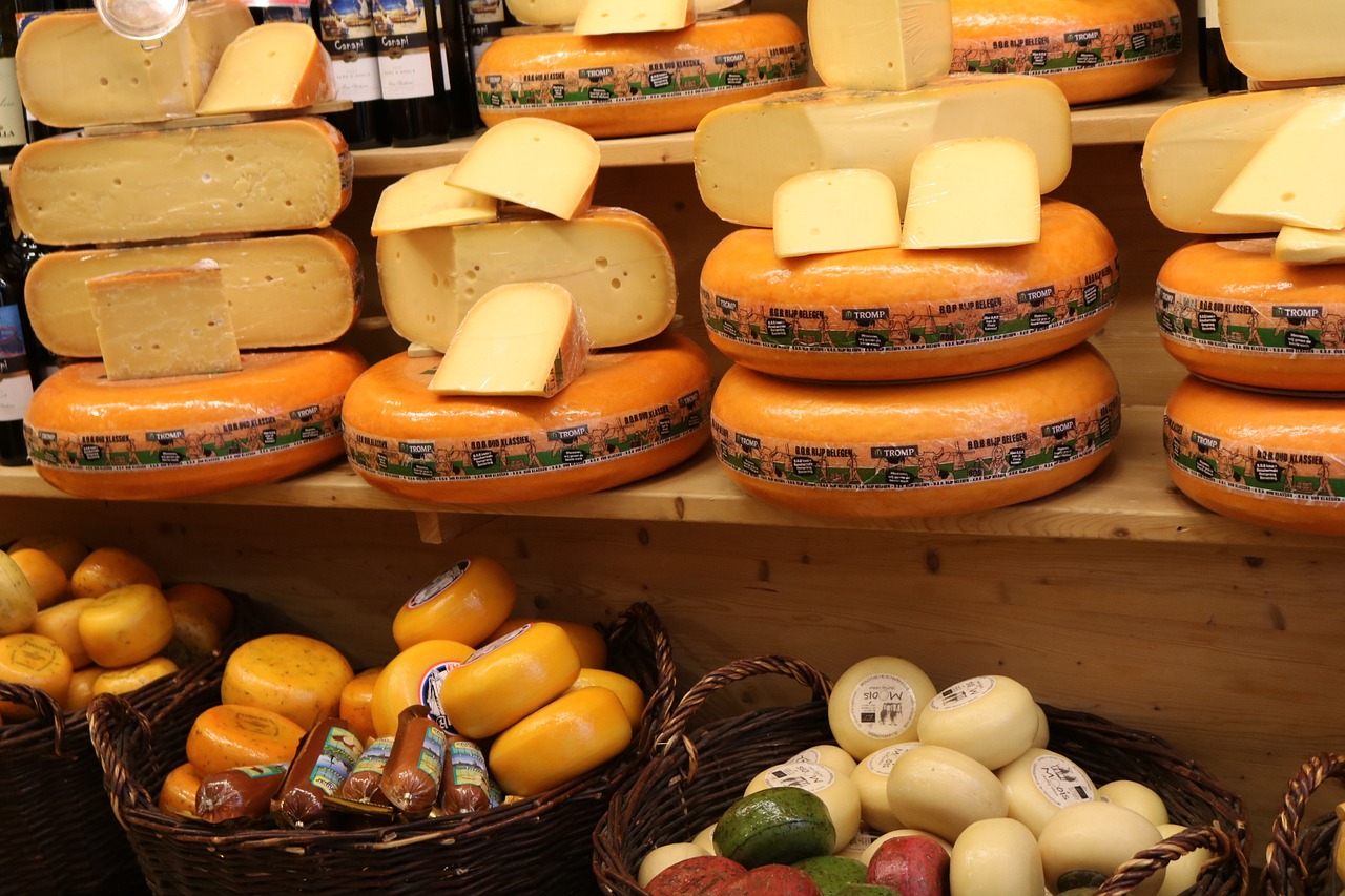 cheese cheese loaf alkmaar free photo