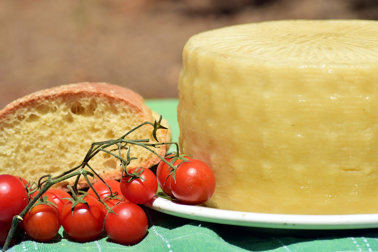 cheese feta cheese cheese loaf free photo