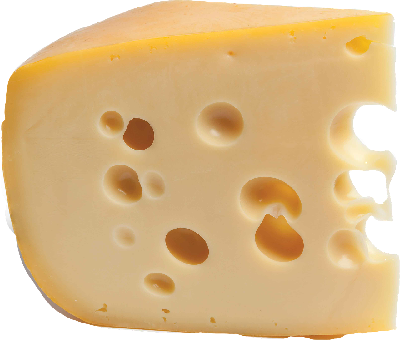 cheese with holes free photo