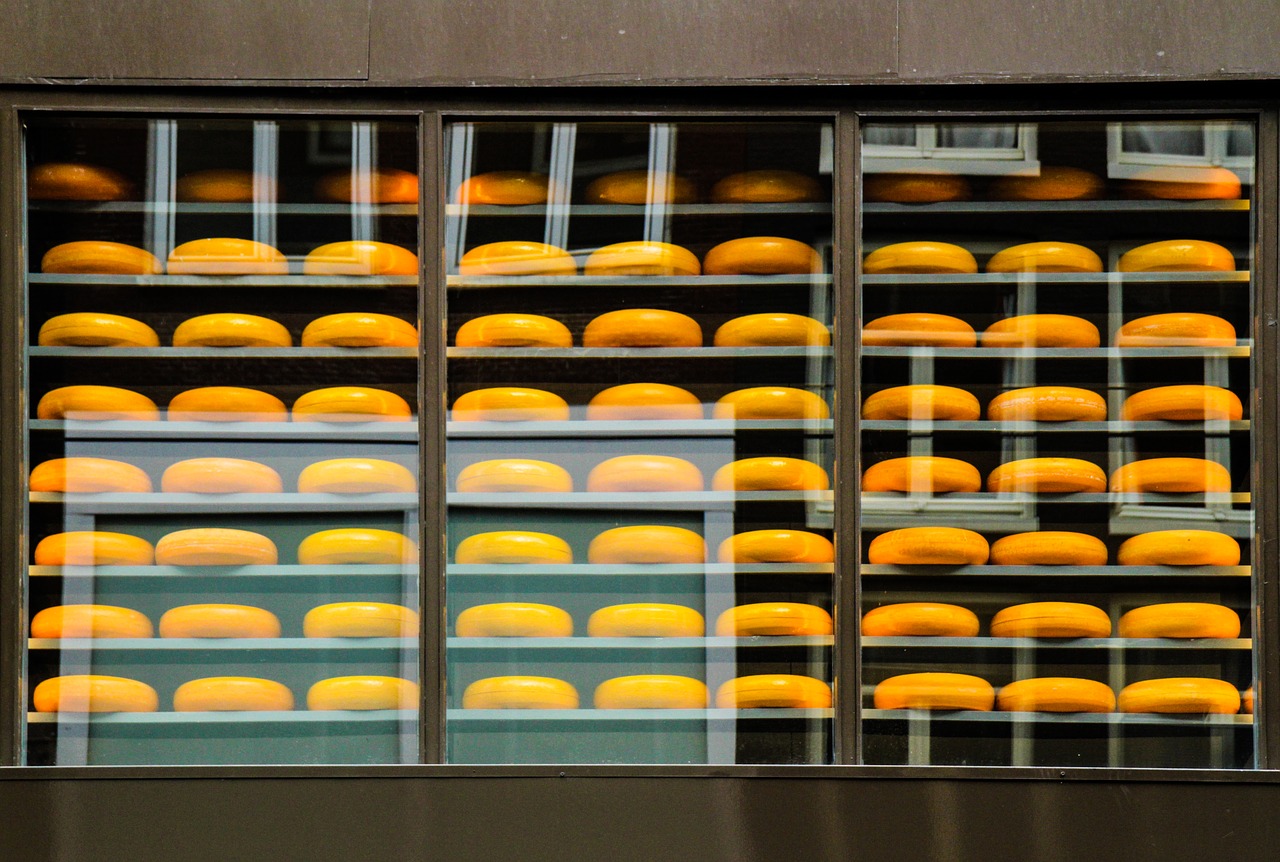 cheese amsterdam street free photo