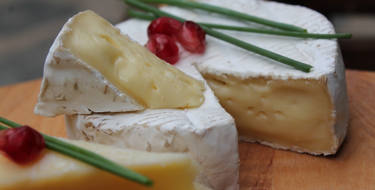 cheese camembert dairy free photo