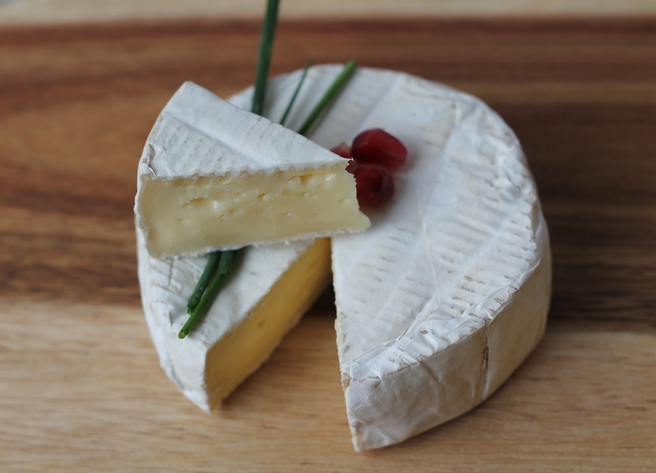 cheese slice camembert free photo