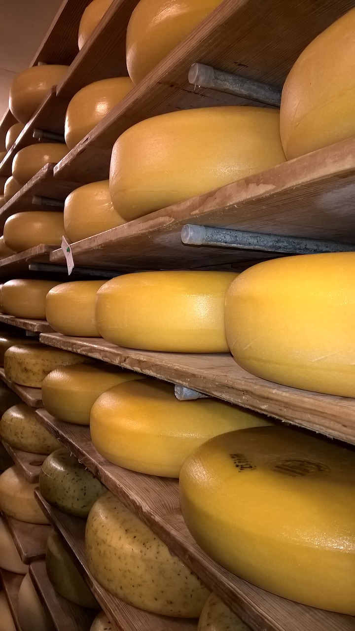 cheese craft mature shelf free photo