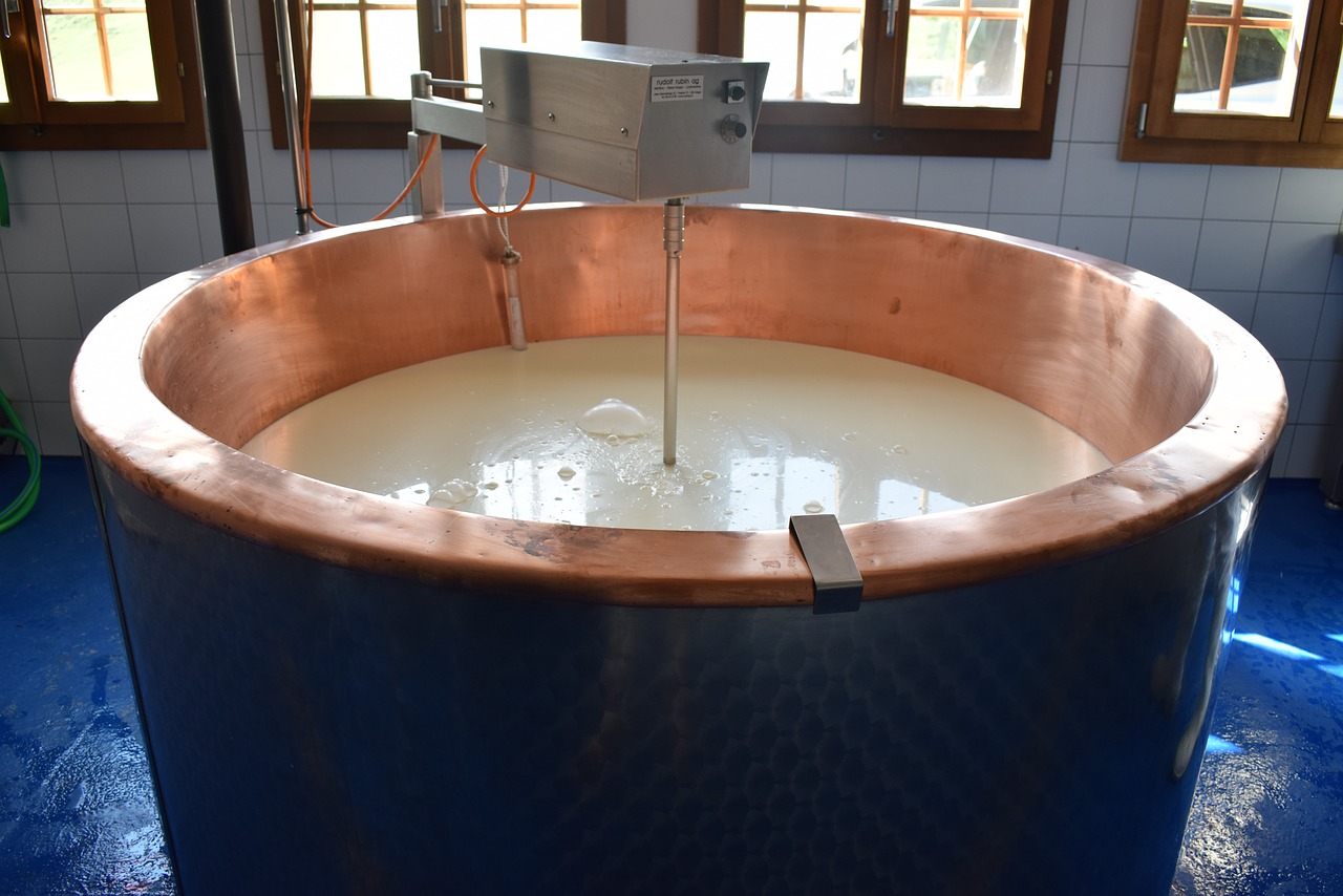 cheese  whey  manufacturing free photo