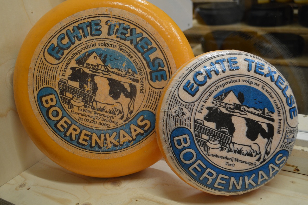 cheese texel netherlands free photo