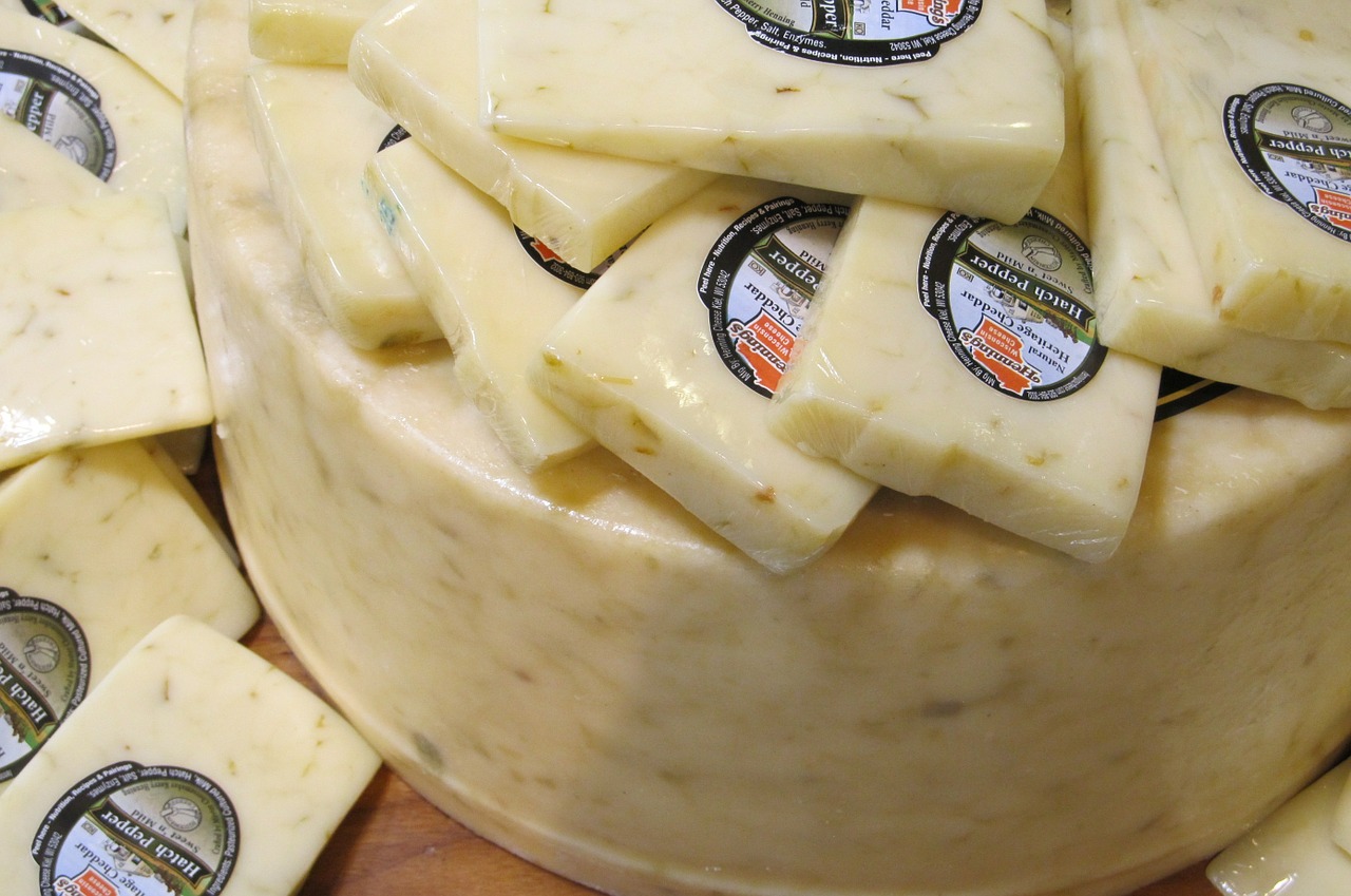 cheese hatch dairy free photo