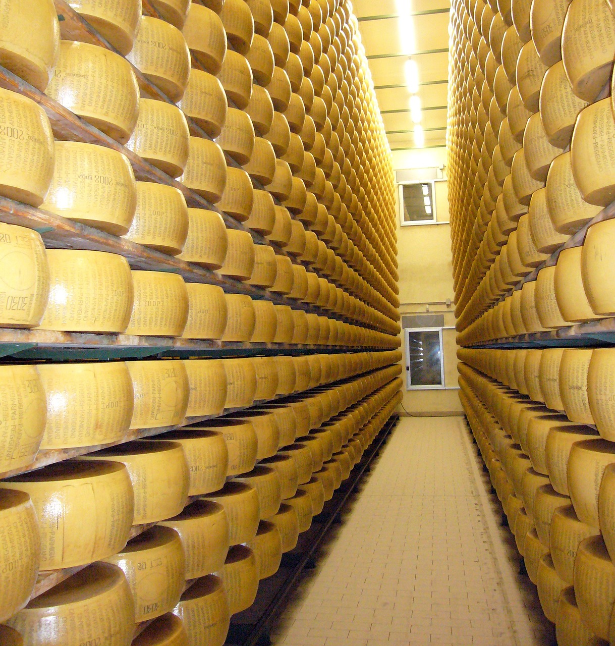cheese stock food free photo