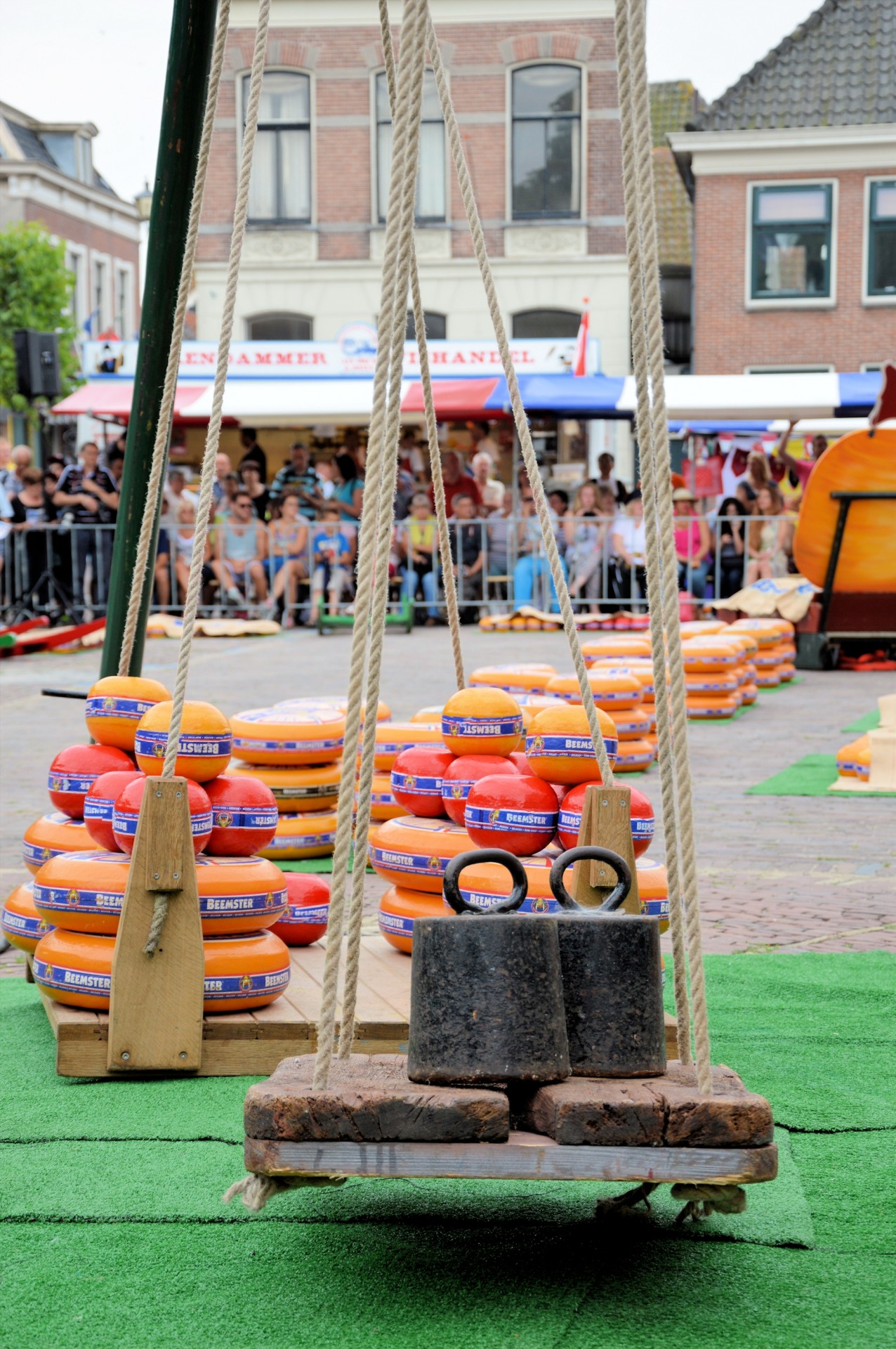 cheese market edam free photo