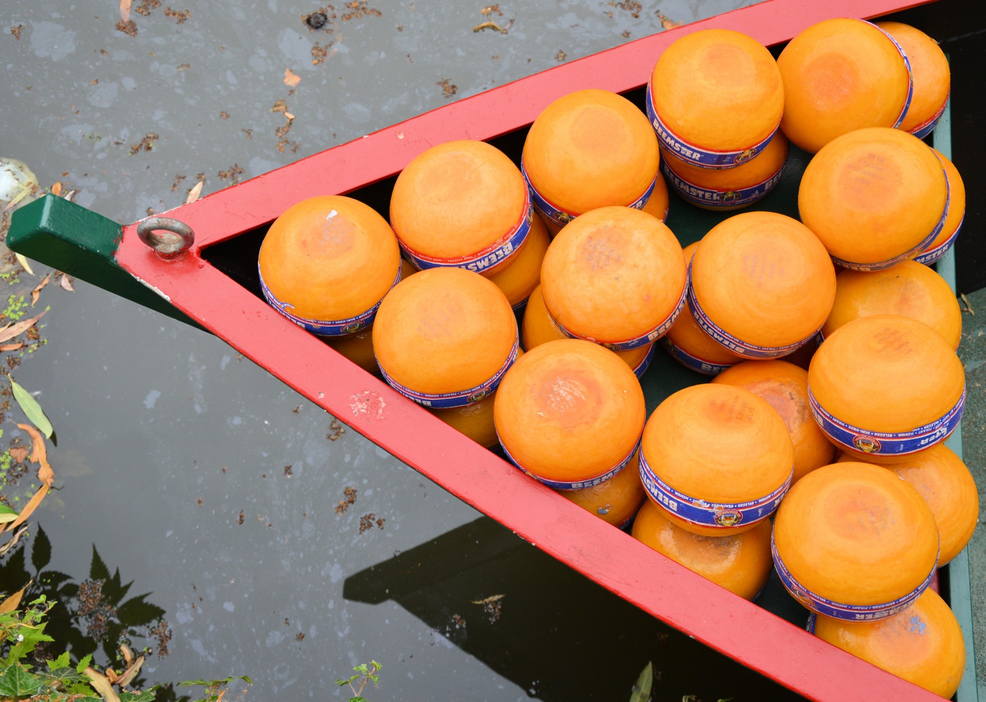 market cheese holland free photo