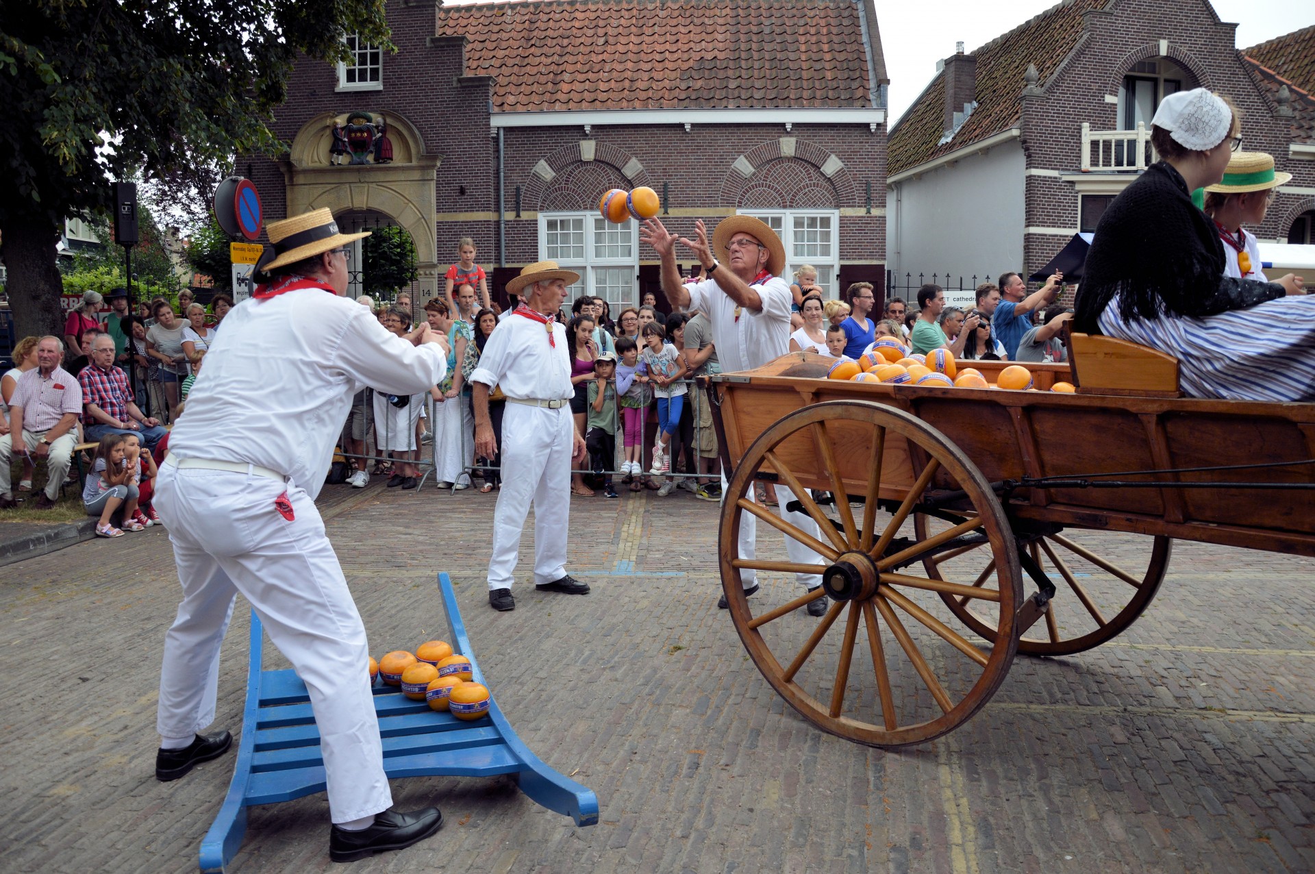 cheese market edam free photo