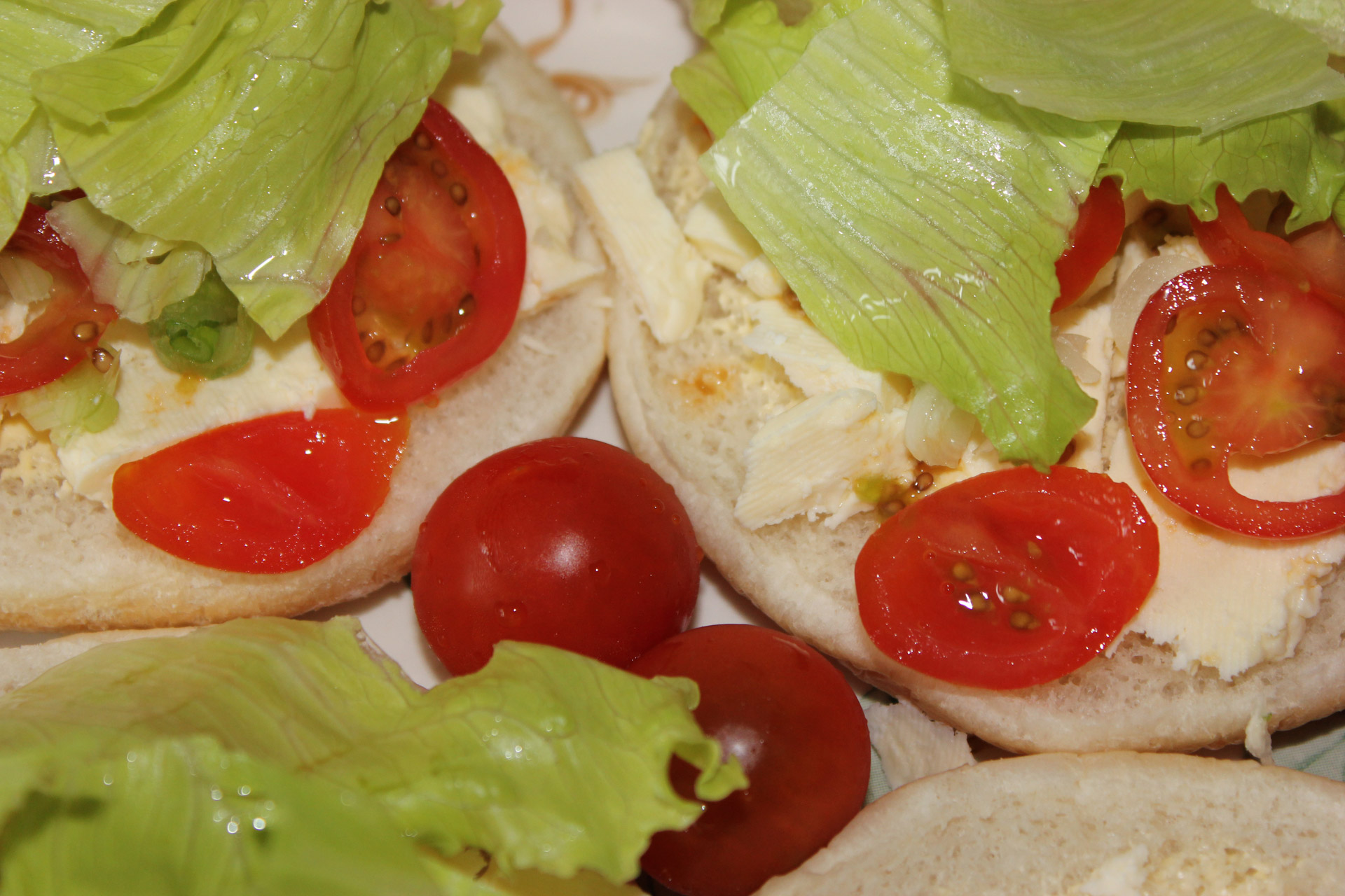 cheese salad sandwich cheese tomatoes free photo