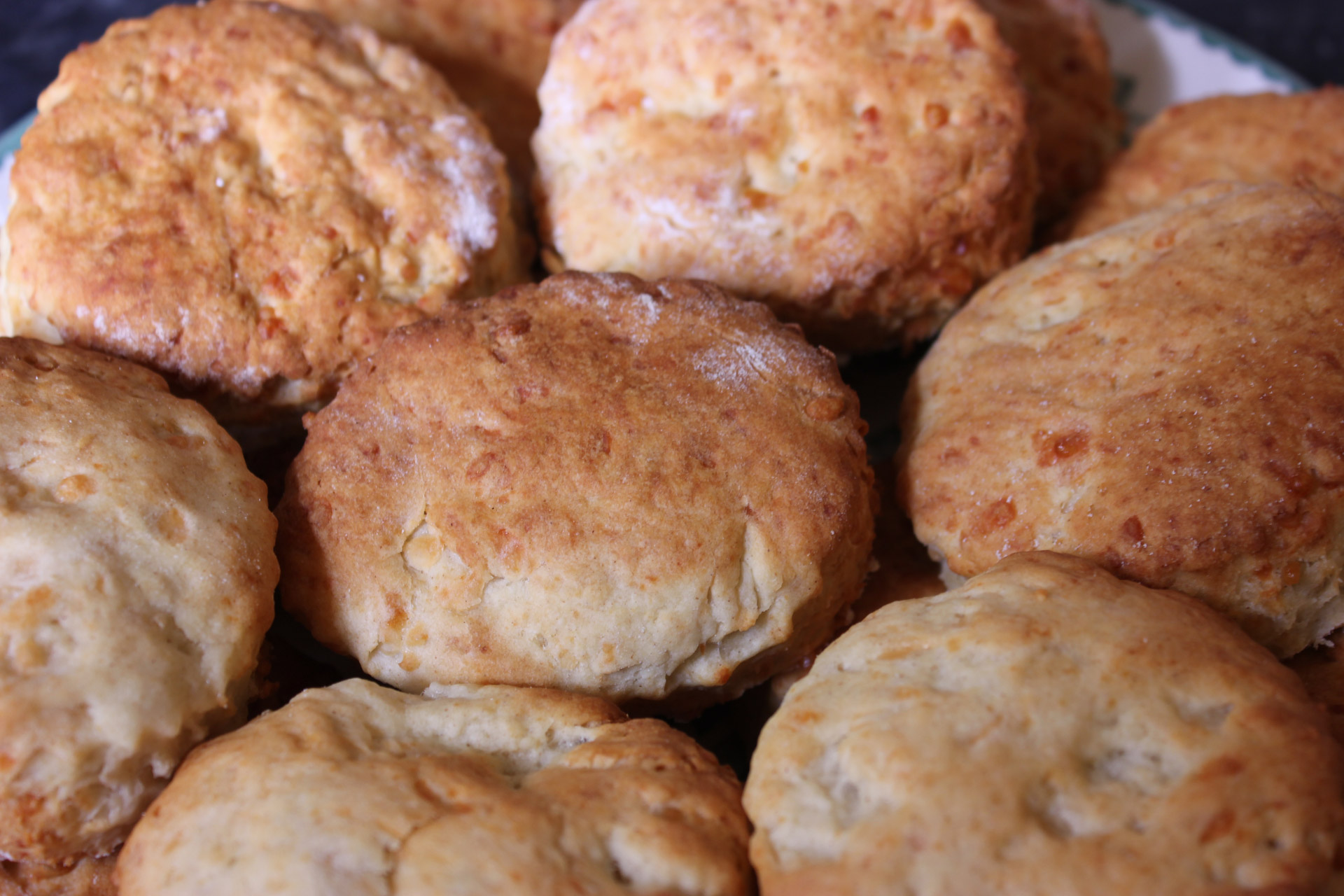 cheese scones cheese scones free photo