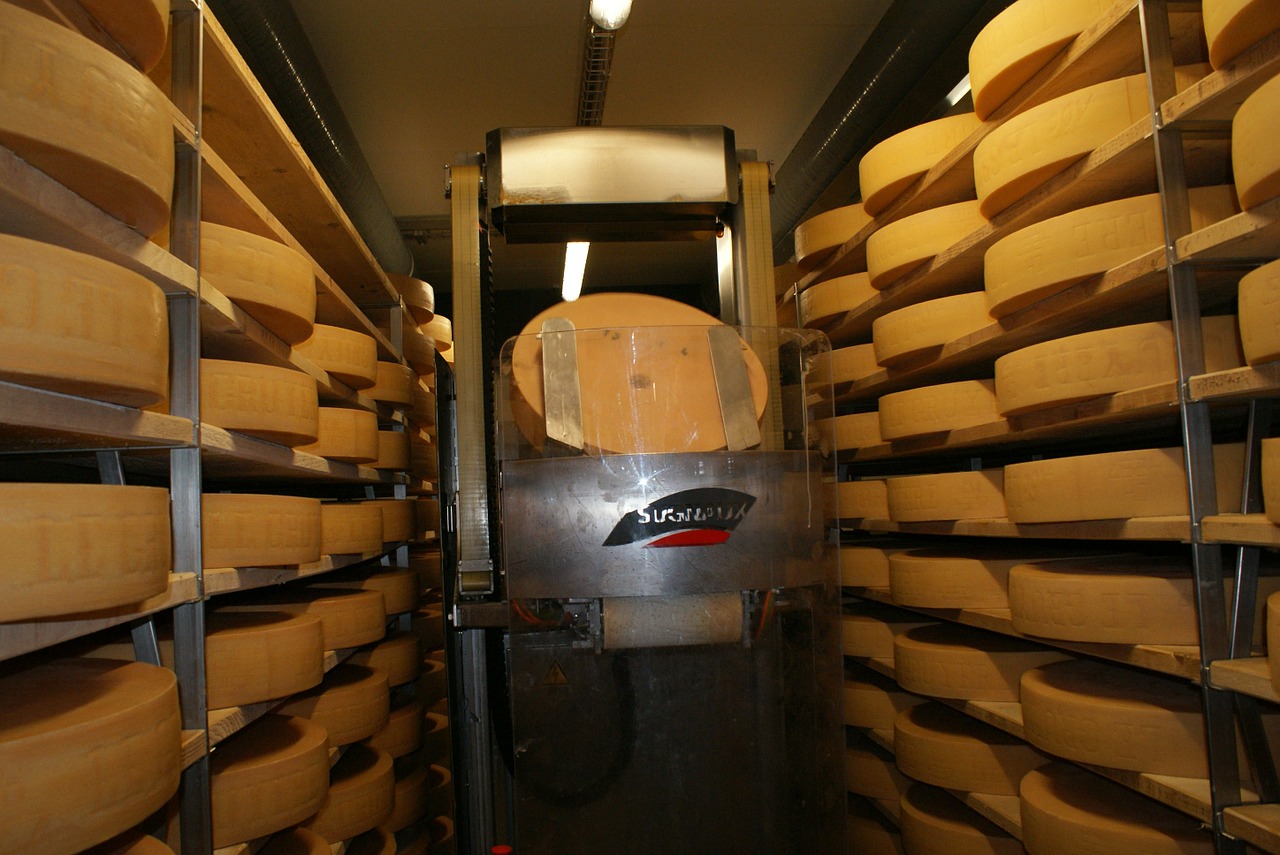 cheese storage cheese cheese dairy free photo