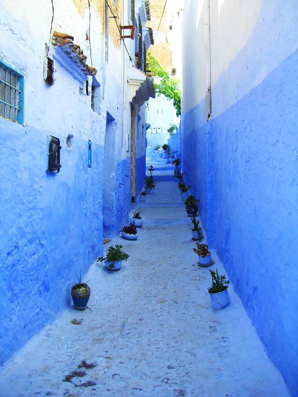 chefchaouen morocco blue free photo