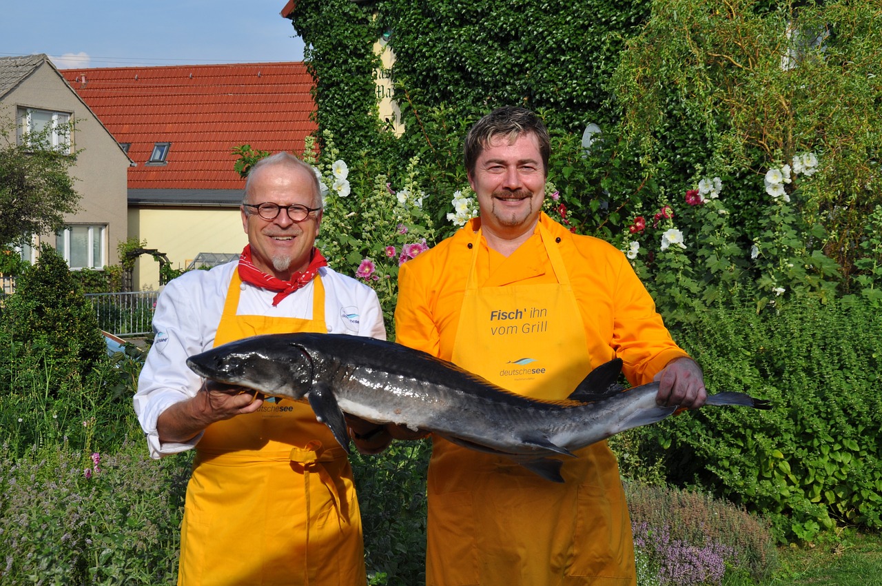 chefs fischkoch fish free photo