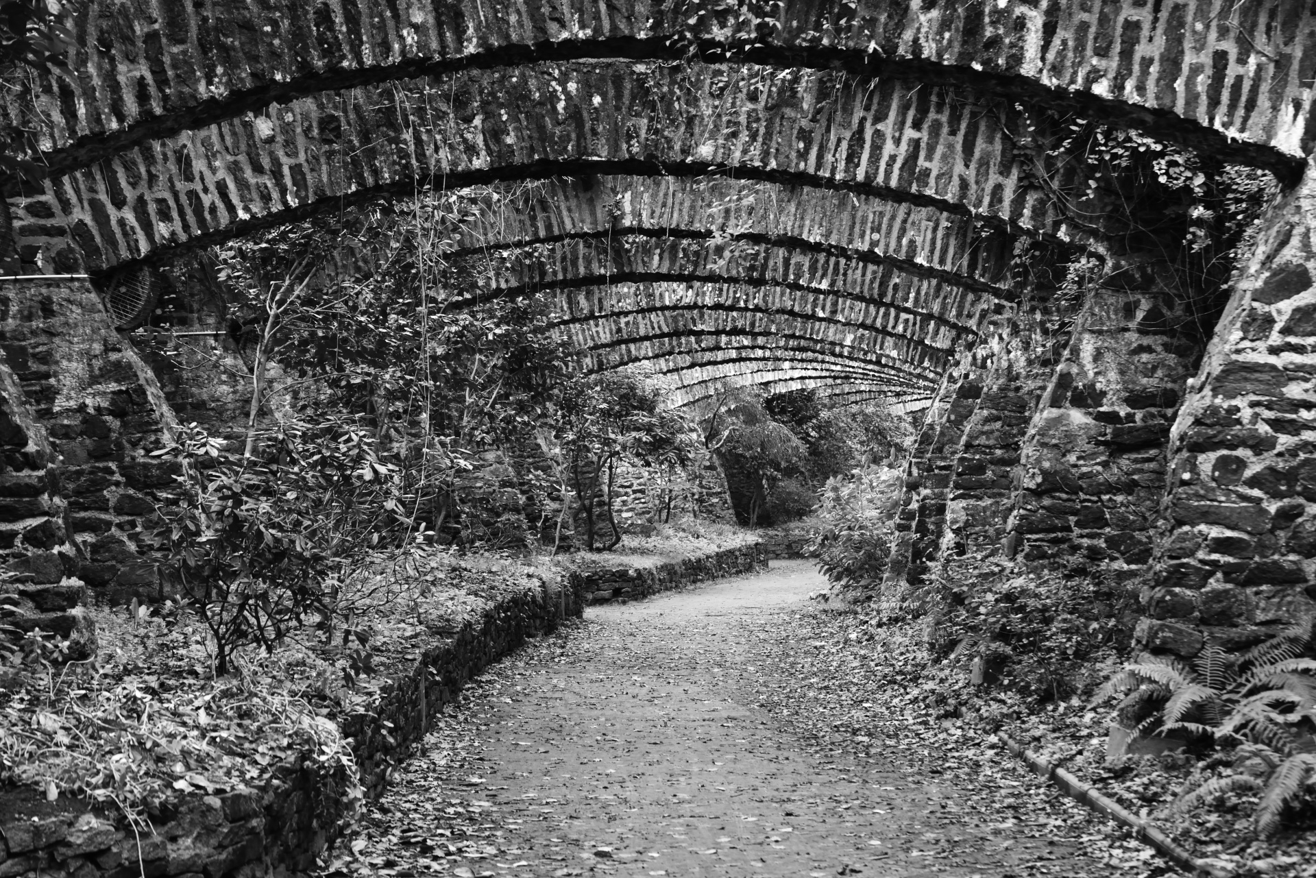 walk path arcades free photo