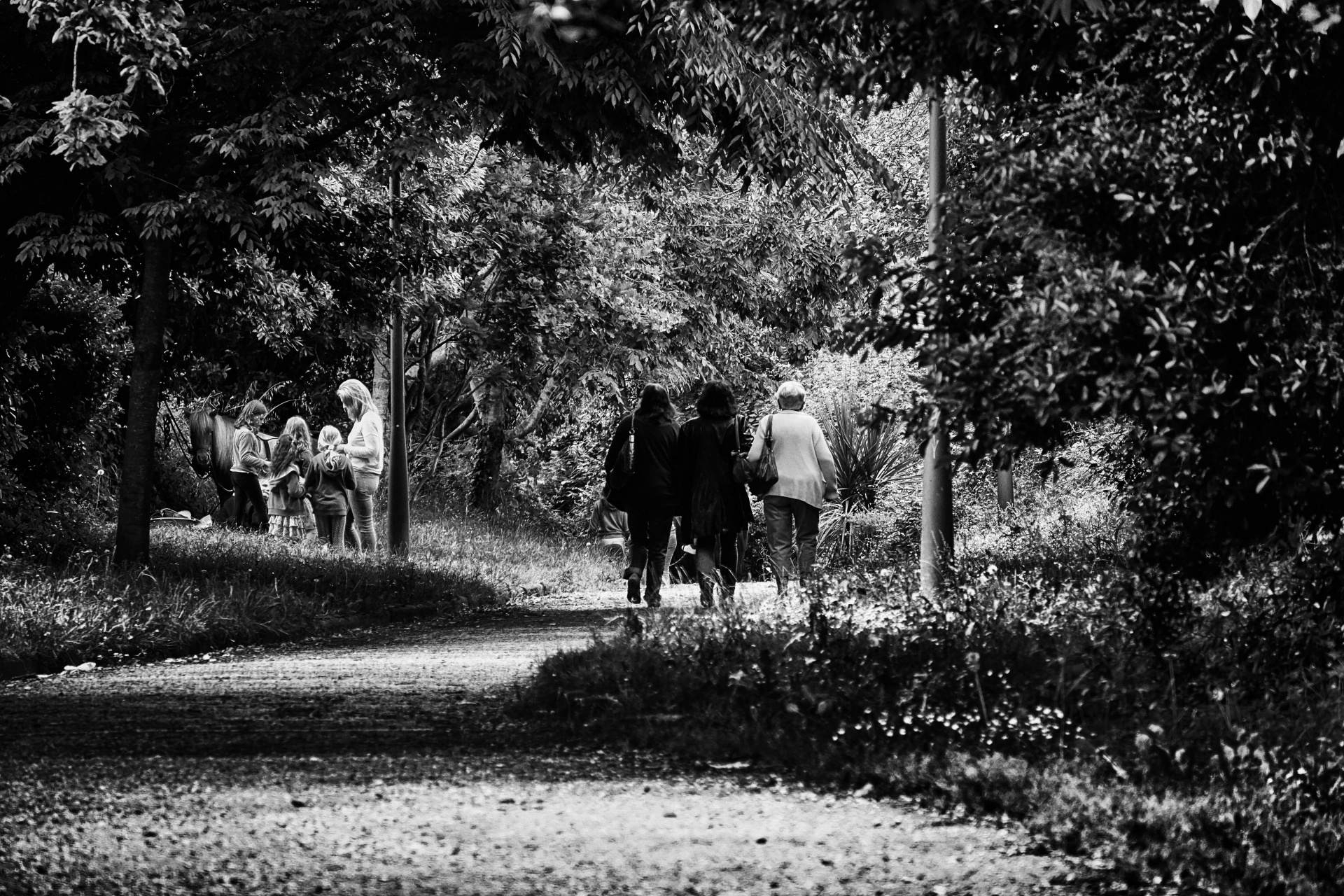 walk walking black white free photo