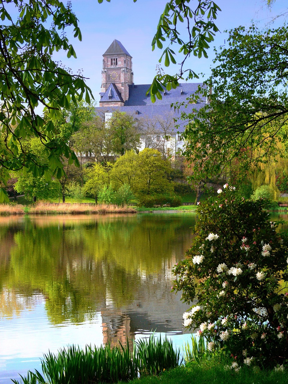 chemnitz  castle pond  pond free photo